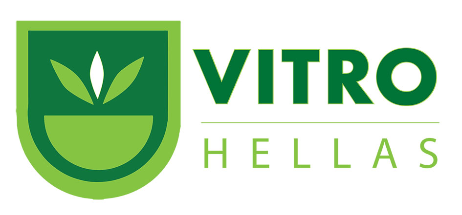 vitro logo 2018 jpeg